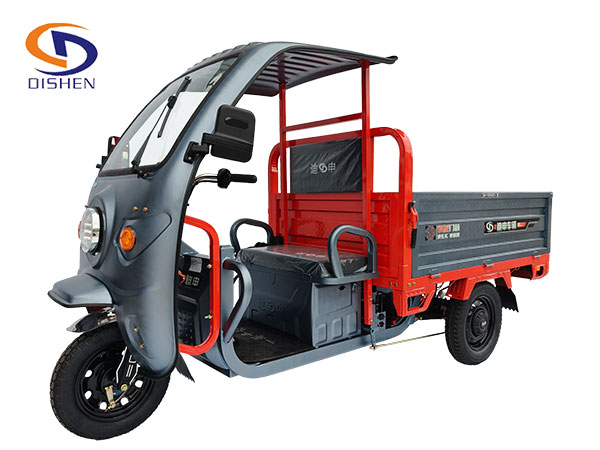 Electric cargo tricycle-ZS3B